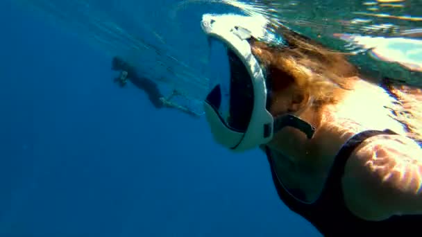 Buceador masculino y nadadora femenina bajo el agua usando mascarilla de snorkel en aguas cristalinas del océano Fiji Pacífico Sur
 - Metraje, vídeo