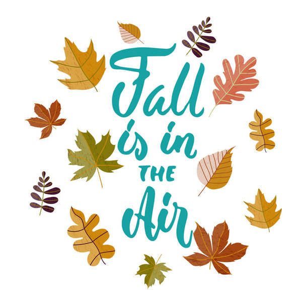 Fall is in the Air - hand drawn cozy Autumn seasons holiday lettering phrase and leaves doodles isolated on the white background. Fun brush ink vector illustration for banners, cards, posters design - Vector, Image