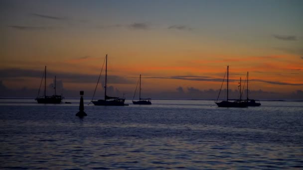 Polynesian night view of light buoy and yachts at sunset tropical Island paradise Moorea from Tahiti South Pacific ocean - Footage, Video