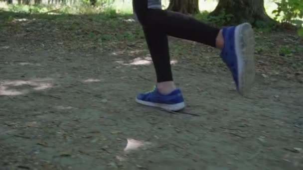 κορίτσι για ένα πρωινό τρέξιμο στο δάσος - Πλάνα, βίντεο