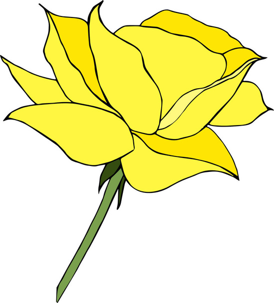 Sárga Rózsa rajzfilm stílusú fehér háttér - Vektor, kép