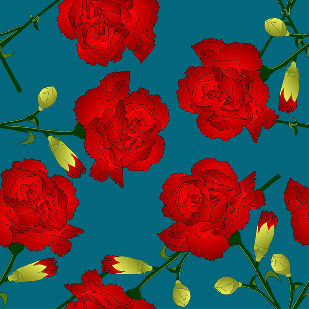 Dianthus caryophyllus - czerwony Goździk kwiat na tle niebieski indygo. Ilustracja wektorowa. - Wektor, obraz