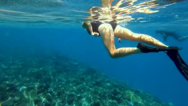 Vista subacquea del subacqueo maschio e nuotatore femmina utilizzando maschere per la testa di snorkeling in acque cristalline dell'oceano Fiji Sud Pacifico
 - Filmati, video