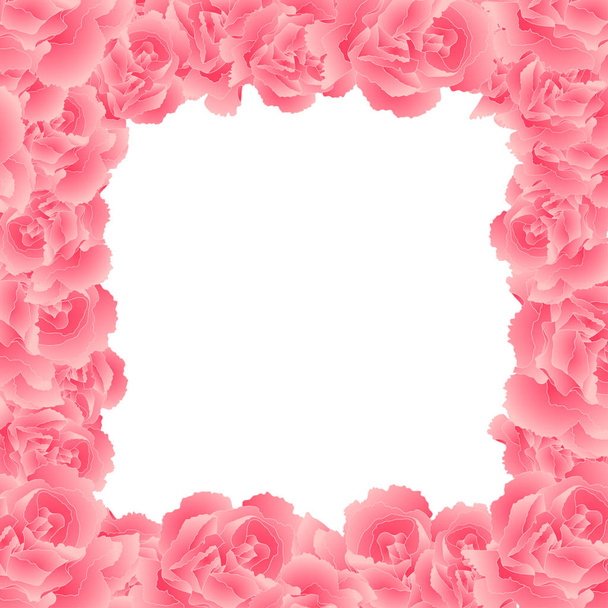 Dianthus caryophyllus - Pink Carnation Flower Border. Vector Illustration. - Vektör, Görsel