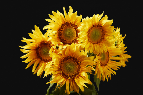 krásné zářivě žluté slunečnice kytice, izolované na černém - Fotografie, Obrázek