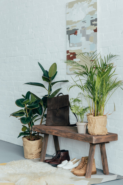 different shoes under wooden bench in corridor, potted plants on floor - Photo, Image