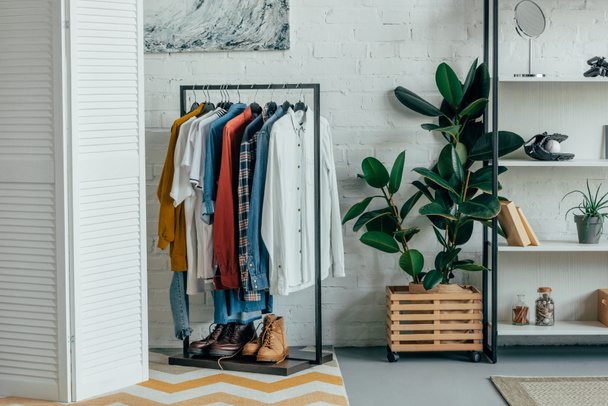 different shirts on hangers, shoes on shelf in living room - Fotografie, Obrázek