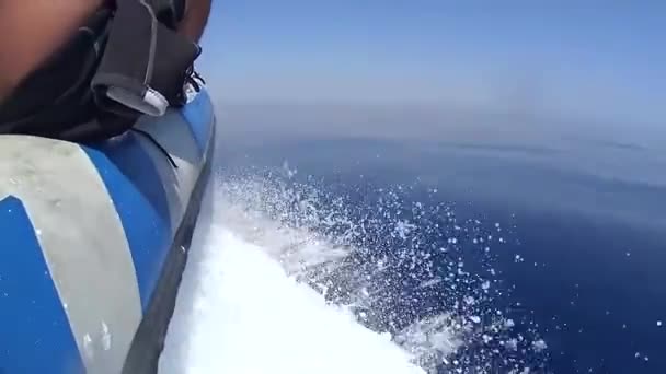 Uyku modundan çıkarma ve tarafta oturdu kişi ile sakin düz tropikal deniz okyanus üzerinden yüksek hızda seyahat küçük şişme sürat teknesi - Video, Çekim