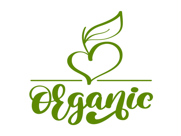 Vegano verde orgánico naturaleza vector logotipo plantilla diseño caligrafía ilustración, diseño de alimentos. Letras manuscritas para restaurante, café menú crudo. Elementos para etiquetas, logotipos, insignias, pegatinas o iconos
 - Vector, imagen