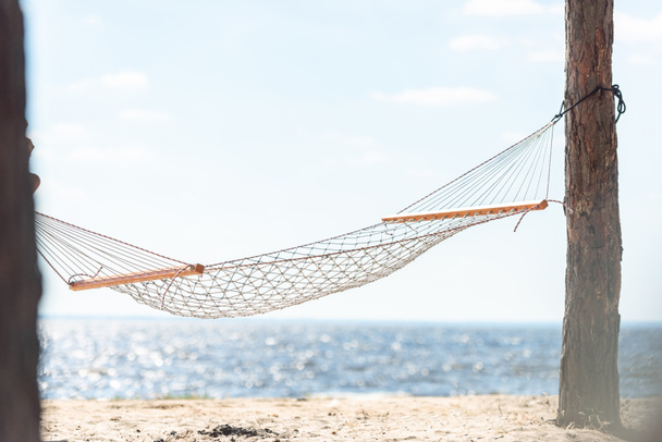 hammock hanging between two trees on sandy beach near the sea  - Fotó, kép