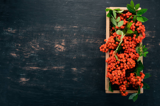 Red rowanberry in a wooden box. On a black wooden background. Top view. Free space for your text. - Photo, image