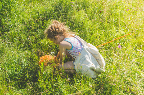 girl, a child with a net catches a butterfly on a Sunny summer day - Foto, imagen
