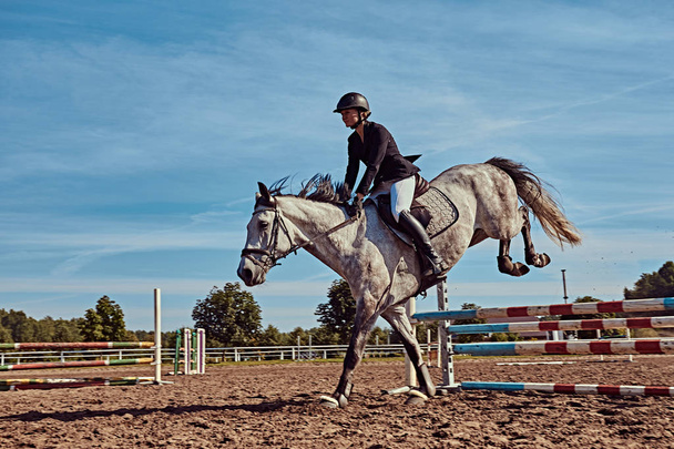 Female jockey on dapple gray horse jumping over hurdle in the open arena. - Foto, Imagem