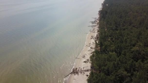 Aerial view of cape Kolka, Baltic sea, Latvia - Filmmaterial, Video