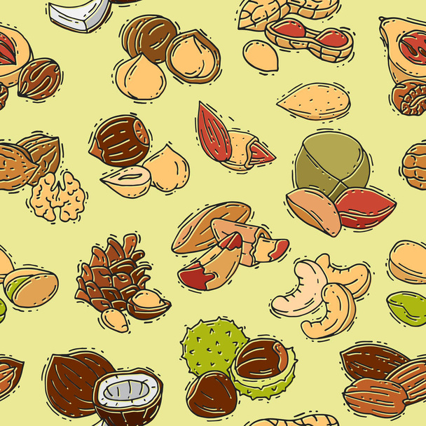 Nuts vector nutshell of hazelnut almond and walnut nutrition illustration set cashew peanut and chestnut with nutmeg seamless pattern background - ベクター画像