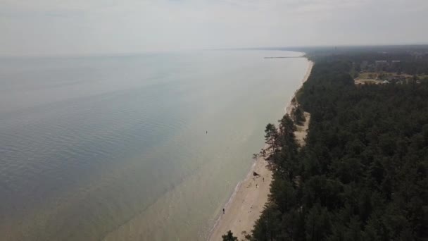 Aerial view of cape Kolka, Baltic sea, Latvia - Кадры, видео