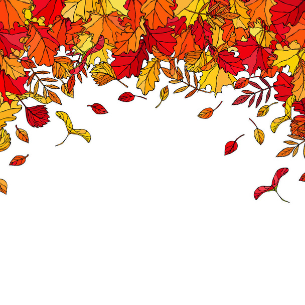 Podzimní rámec rozložení pozadí s padajícími listy. Plakát nebo karta. Maple Rowan, Oak, Hawthorn, Birch. Červená, oranžová a žlutá. Realistické ručně kreslené vysoce kvalitní vektorové ilustrace. Styl Doodle - Vektor, obrázek