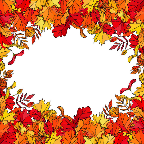 Autumn Background Layout Frame with Falling Leaves. Poster or Card. Maple Rowan, Oak, Hawthorn, Birch. Red, Orange and Yellow. Realistic Hand Drawn High Quality Vector Illustration. Doodle Style - Wektor, obraz