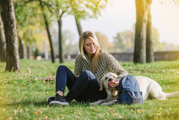 beautiful blonde is sitting on the grass in the park and playing with her dog labrador - Photo, Image