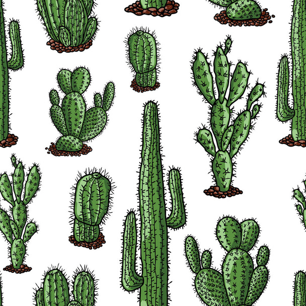 Vector pattern of the different drawn cactuses - Vector, Image