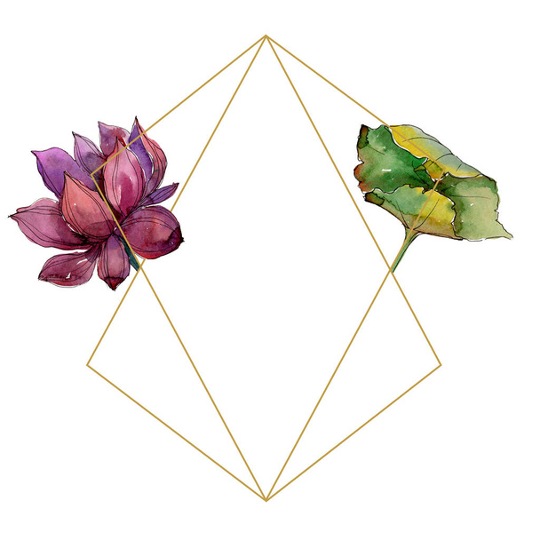 Pink lotus flower. Floral botanical flower. Frame border ornament square. Aquarelle wildflower for background, texture, wrapper pattern, frame or border. - Foto, imagen