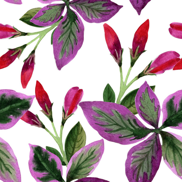Watercolor pink weigela florida flowers. Seamless background pattern. Fabric wallpaper print texture. Aquarelle wildflower for background, texture, wrapper pattern, frame or border. - Фото, изображение
