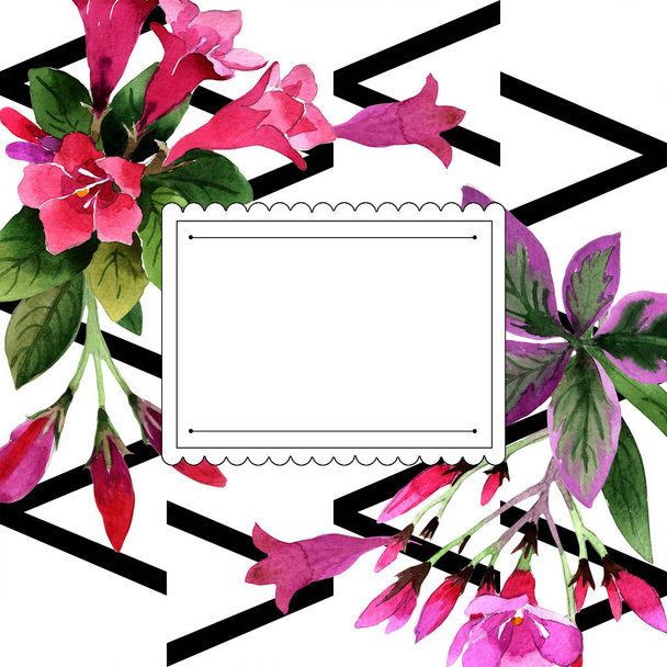 Aquarel roze weigela florida bloemen. Floral botanische bloem. Frame grens ornament vierkant. Aquarelle wildflower voor achtergrond, textuur, wrapper patroon, frame of rand. - Foto, afbeelding