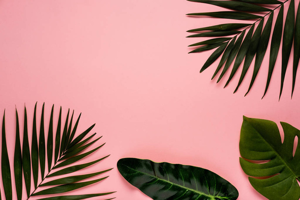 Trendy summer tropical leaves on pink background.  Bright summer color. Minimal style. - Foto, Imagen