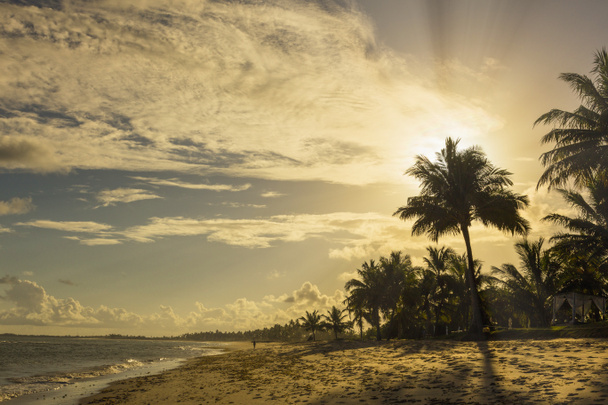 Beau coucher de soleil sur la mer avec vue sur les palmiers sur la plage de Praia do forte, Bahia, Brésil
 - Photo, image