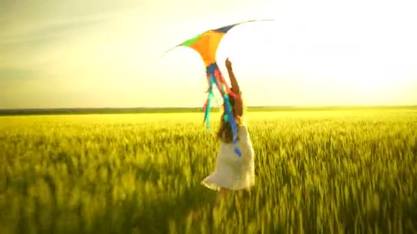 Dziewczyna biegają z latawcem na polu. - Materiał filmowy, wideo