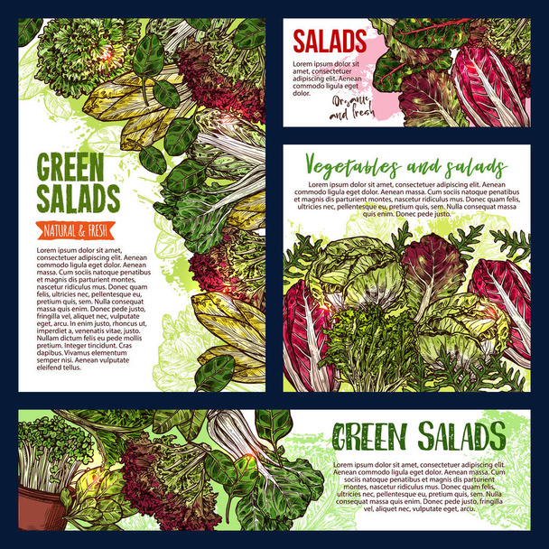 Salata sebze ve yaprak yeşillik afiş - Vektör, Görsel