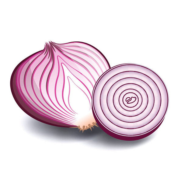 Vegetable Icon Red Onion White Background Vector Image - Vector, Image