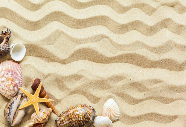  浜の砂で貝殻旅行コンセプト  - 写真・画像