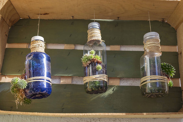 Artesanías de jardinería hechas con botellas de plástico reciclado
 - Foto, imagen