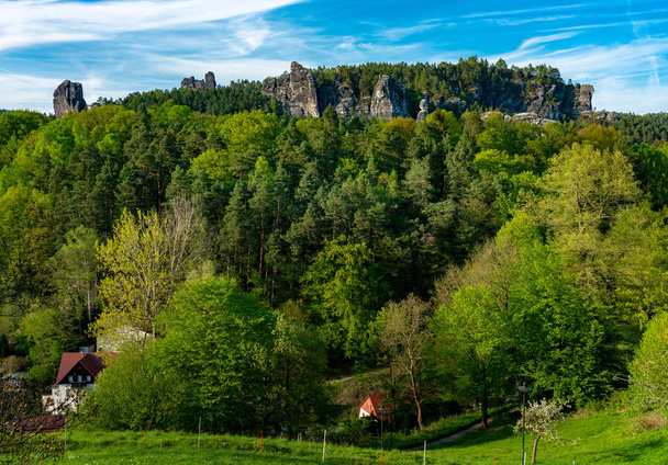 Flor y paisaje alrededor del bastión en las montañas de arenisca del Elba en Sajonia
 - Foto, Imagen