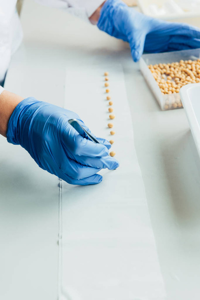 cropped image of biologist putting seeds in row by tweezers at table in modern laboratory  - Фото, изображение