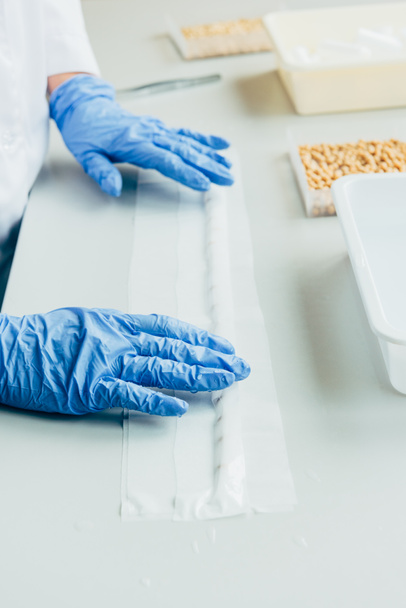 gedeeltelijke weergave van bioloog in latex handschoenen werken aan tafel met zaden in agro laboratorium  - Foto, afbeelding