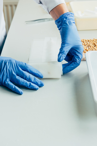 обрезанное изображение биолога в латексных перчатках, работающего за столом с семенами в агролаборатории
  - Фото, изображение