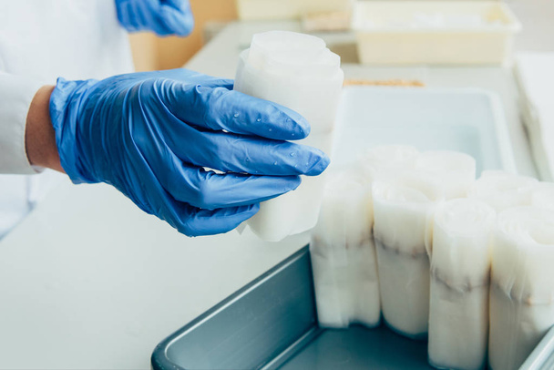 cropped image of scientist in latex gloves putting paper with seeds in modern laboratory  - Photo, Image