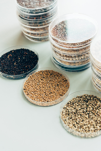 mise au point sélective de divers grains dans des conteneurs en plastique dans un laboratoire agricole moderne
  - Photo, image