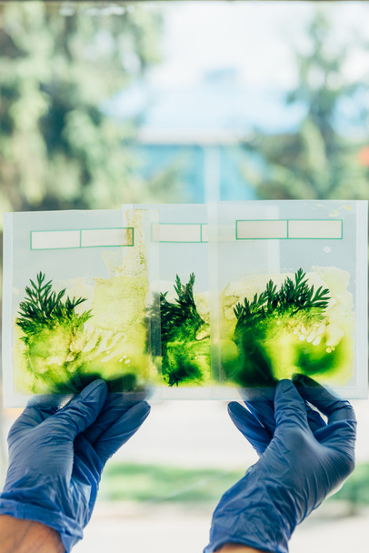 skadrowana biologa w Rękawice lateksowe, badając trawy w pakietach w nowoczesnym laboratorium  - Zdjęcie, obraz