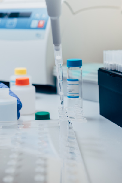 selective focus of pipette in modern biotechnology laboratory  - Zdjęcie, obraz