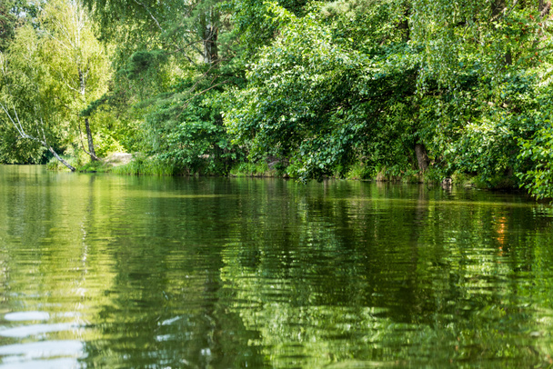 schilderachtig uitzicht op mooie rustige lake met groene bomen op bank - Foto, afbeelding