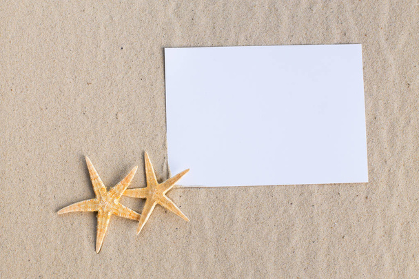 holiday beach concept with shells, seastars and an blank postcard - Fotoğraf, Görsel