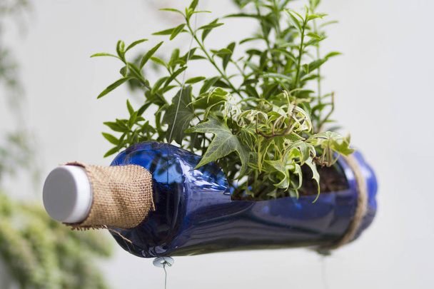 Gardening crafts made with recycled plastic bottles - Zdjęcie, obraz