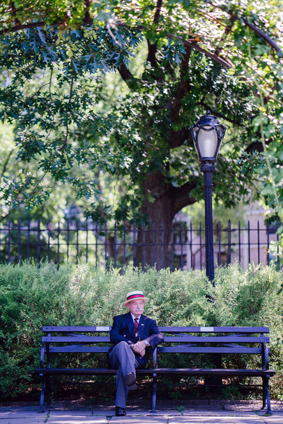 Senior businessman wearing suit in city park - Foto, immagini