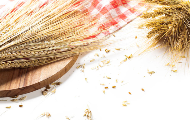 dry wheat ears isolated on white background - Photo, Image