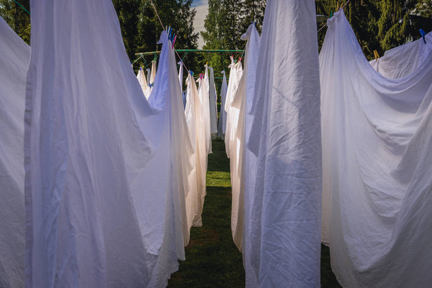 White sheets dries on a ropes in the garden - Photo, Image