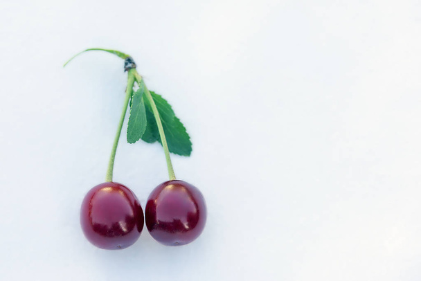 two cherries on a branch on a white background - Φωτογραφία, εικόνα