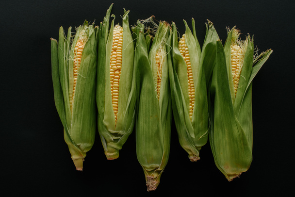 flat lay with arranged raw fresh corn cobs isolated on black - Foto, Imagem